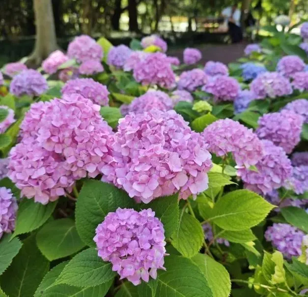 开车过石墩视频教学-掌握这些技巧，让你轻松开车过石墩，成为酷炫车手