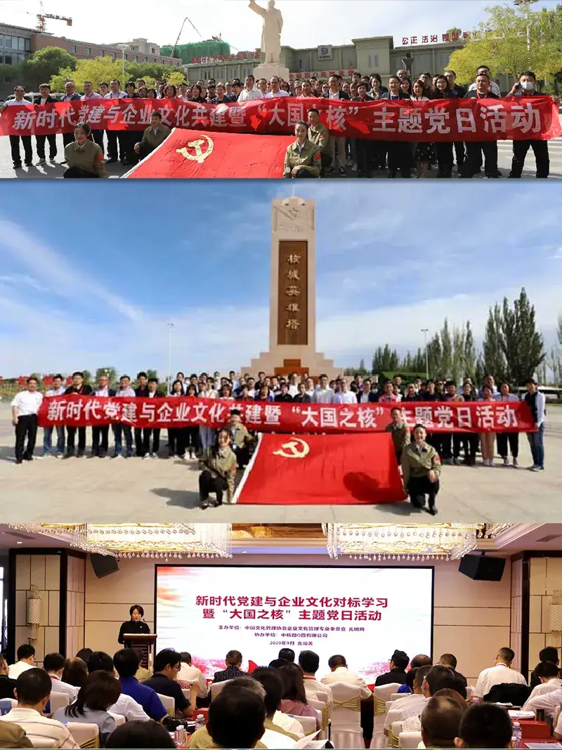 成都网龙网络游戏公司：编织梦想的创新工厂，游戏迷的青春代名词