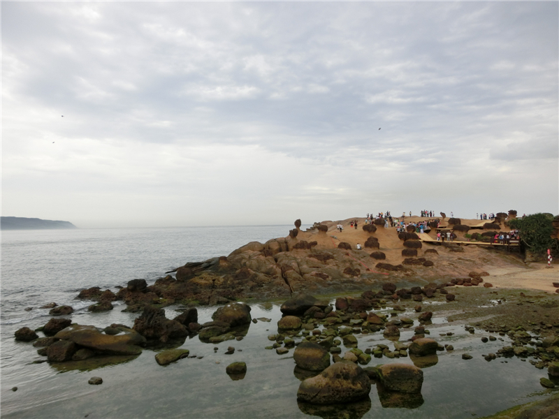 台湾大巴车事件2015年_台湾的旅游大巴司机_台湾旅游大巴车