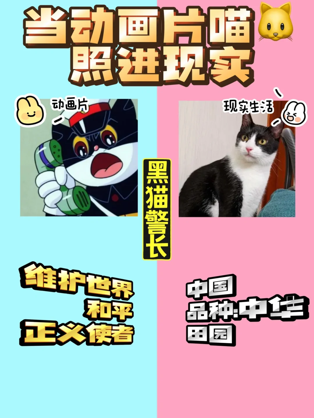 汤姆猫的徒弟-回忆童年传奇：汤姆猫的机智勇敢，伴我成长，永不言败