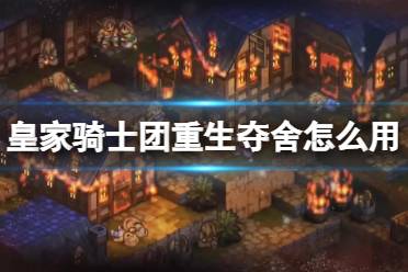皇家骑士团:重生 评测,游戏概述