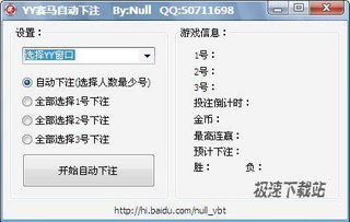 yy赛马,玩法、技巧与乐趣解析