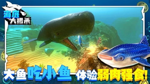 海底大猎杀策划