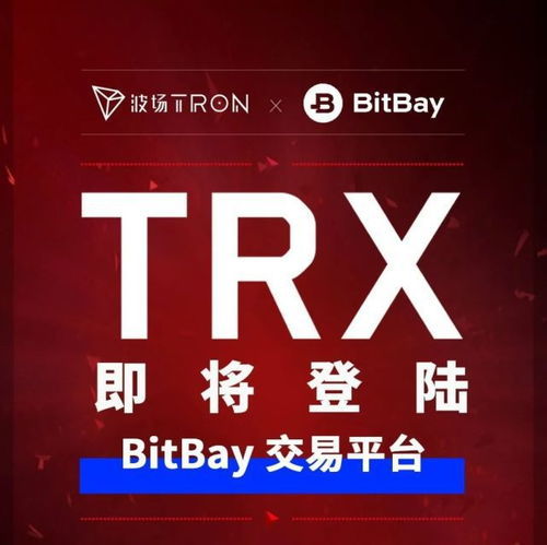 trx怎么激活,如何激活TRX钱包？详细步骤解析