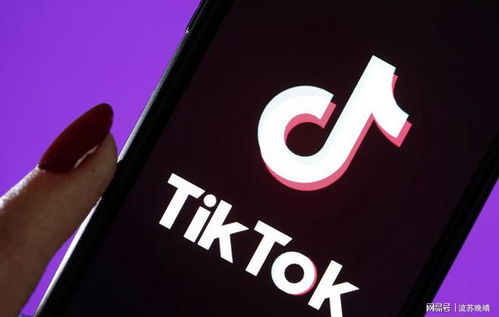 tiktok国际版截图,探索全球短视频的魅力