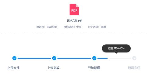 飞机翻译中文链接,飞机翻译中文的重要性与技巧