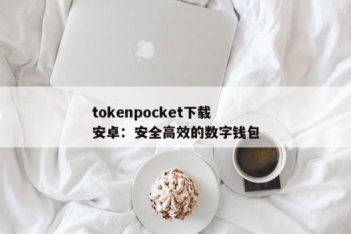 tokenpocket钱包手机安卓下载,TokenPocket钱包手机安卓版下载指南