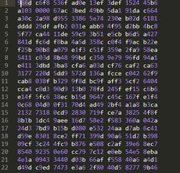 安卓修改游戏json,快速通关攻略