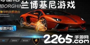 lamborghini游戏安卓,Lamborghini游戏安卓版激情启航