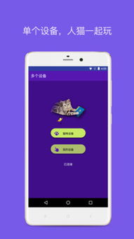 猫app游戏安卓,盘点热门安卓猫类游戏应用