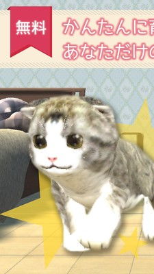 安卓猫咪养成游戏,安卓猫咪游戏带你领略温馨宠物生活