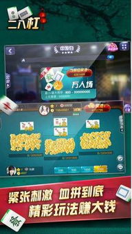 安卓二八杠游戏,刺激的牌技竞技体验
