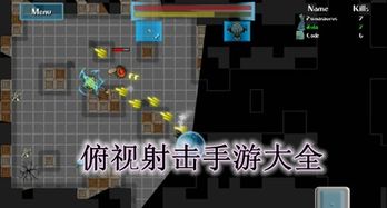 俯视射击游戏 安卓,体验视觉盛宴