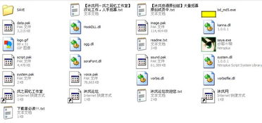 体检安卓ons游戏,沉浸式文字冒险之旅