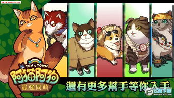 阿猫阿狗安卓游戏,萌宠冒险之旅
