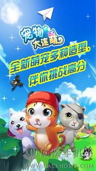 宠萌游戏安卓下载,畅享欢乐时光