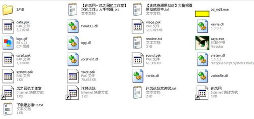 安卓ons游戏格式,探索安卓Ons游戏世界的奇幻之旅